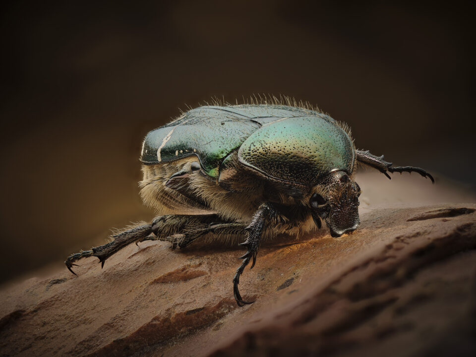 © by Andreas Marx