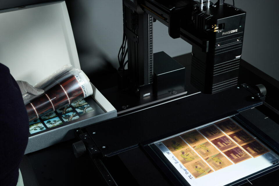 © by p: berlin/Henry Schulz